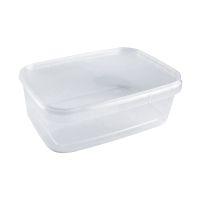 Контейнер под пресервы и мёд, 1000мл, прямоугольная, 182х124х62мм, прозрачная, ПП